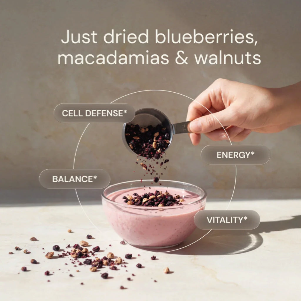 Blueprint Bryan Johnson Blueberry Nut Mix – 200 mg polyphenols